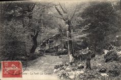 CPA La Sainte Baume La Foret Le Canape 