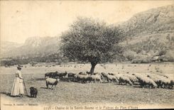 CPA Chaine de la Sainte Baume et le Plateau du Plan d'Aups 