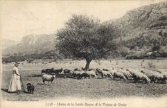 CPA Chaine de la Sainte Baume et le Plateau de Giniez 