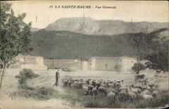 CPA La Sainte Baume Vue Generale Moutons