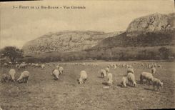 CPA Foret de la Ste Baume Vue Generale 