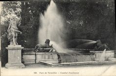 CPA Parc de Versailles Combat d'animaux 
