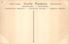 CPA Parc de Versailles Les Bassin d'Apollon 