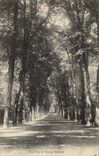CPA Une Allee du Parc de Versailles 