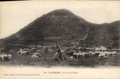 CPA Auvergne Le Puy de Dome Berger Moutons