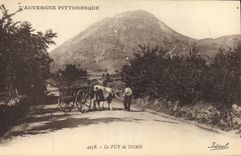 CPA Le Puy de Dome Attelage Bœufs