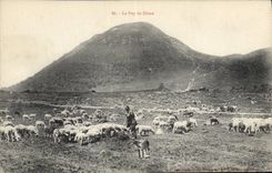 CPA Le Puy de Dome Berger Moutons