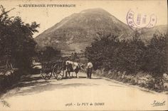 CPA Le Puy de Dome Bœufs Attelage
