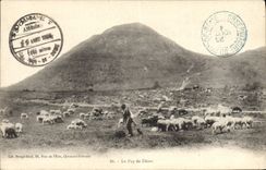 CPA Le Puy de Dome Berger Moutons
