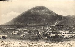 CPA Le Puy de Dome Berger Moutons