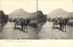 CPA L'Auvergne Le Puy de Dome Cheval