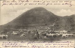 CPA Le Puy de Dome Berger et moutons