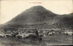CPA Le Puy de Dome Berger Moutons