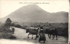 CPA Le Puy de Dome Vaches