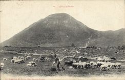 CPA Le Puy de Dome Berger Moutons