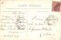 CPA Auvergne Le Puy de Dome Vaches