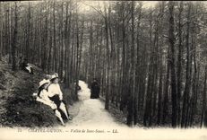 CPA Chatel Guyon Vallee de Sans Souci 