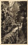 CPA Amelie les Bains PO Gorges du Mondony 