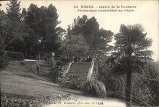 CPA Nimes Jardin de la Fontaine Promenade conduisant au Cedre 