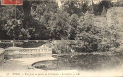 CPA Nimes vue prise au jardin de la Fontaine la Source 