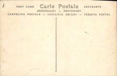 CPA Paris Parc des Buttes Chaumont Passerelle 