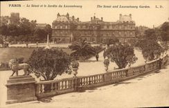 CPA Paris Le Senat et le Jardin du Luxembourg 