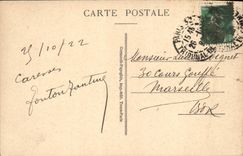 CPA Paris Les Jardins des Tuileries et l'Arc de Triomphe du Carrousel 