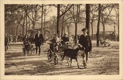 CPA Les Petits Tableaux de Paris Aux Champs Elyses les voitures aux Chevres 
