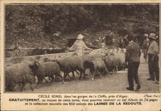 CPA Cecile Sorel dans les gorges de la Chiffa 