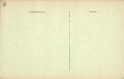 CPA Saint Maximin La Sainte Baume La Basilique Interieur du Choeur et de la Basilique 