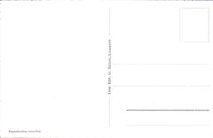 CPA Montreux Dents du Midi