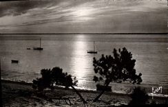 CPA Arcachon Gironde Le bassin au crepuscule 