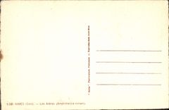 CPA Nimes Gard Les Arenes Ampitheatre romain 