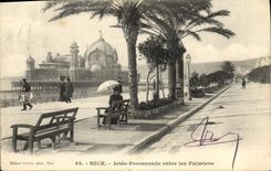 CPA Nice Jetee Promenade entre les Palmiers 