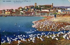CPA Cannes Les Mouettes sur la Plage 