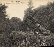 CPA Le Mans Un coin du Jardin des Plantes 
