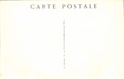 CPA Paris le Nouveau Trocadero vu des Jardins 