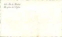 CPA Ile de Brehat la greve de l'Eglise 