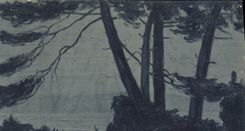 CPA La Lande Etang du Moisan 