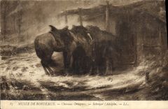 CPA Musee de Bordeaux Chevaux Gosaques 