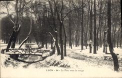CPA Lyon Le Parc sous la neige 
