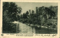 CPA Maroc Dans le Souss L'oued Doumeult 