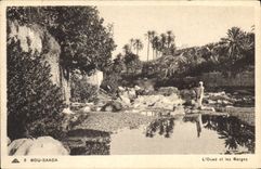 CPA Bou Saada L'Oued et les Gorges 