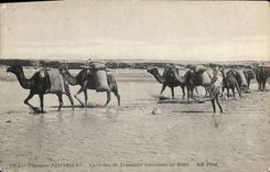 CPA Paysages Sahariens Caravane de Transport traversant un Oued 
