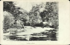 CPA Le Gour saillant 