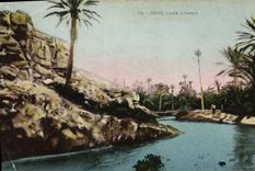 CPA Oued Dans L'Oasis 