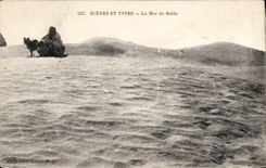 CPA Scenes et Types La Mer de Sable 