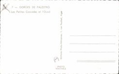 CPA Gorges de Palestro Les Petites Cascades et l'Oued 