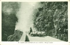 CPA Dans les Gorges de la Chiffa Berger Arabe Moutons
