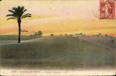 CPA Scenes et Types Paysage Saharien 
